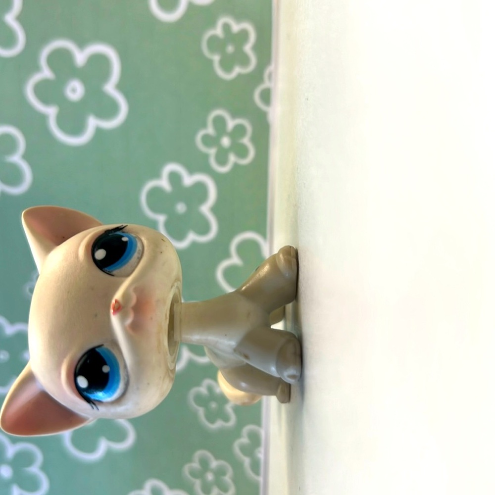 Do not buy this pet has already been claimed 
Littlest pet shop short hair